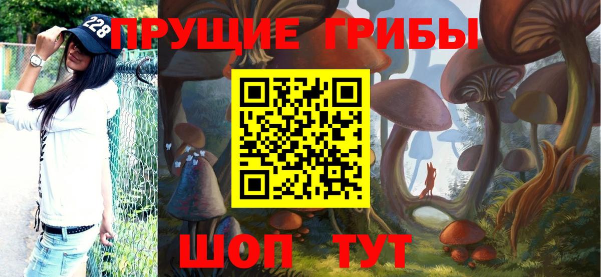 Псилоцибиновые грибы GOLDEN TEACHER Ликино-Дулёво