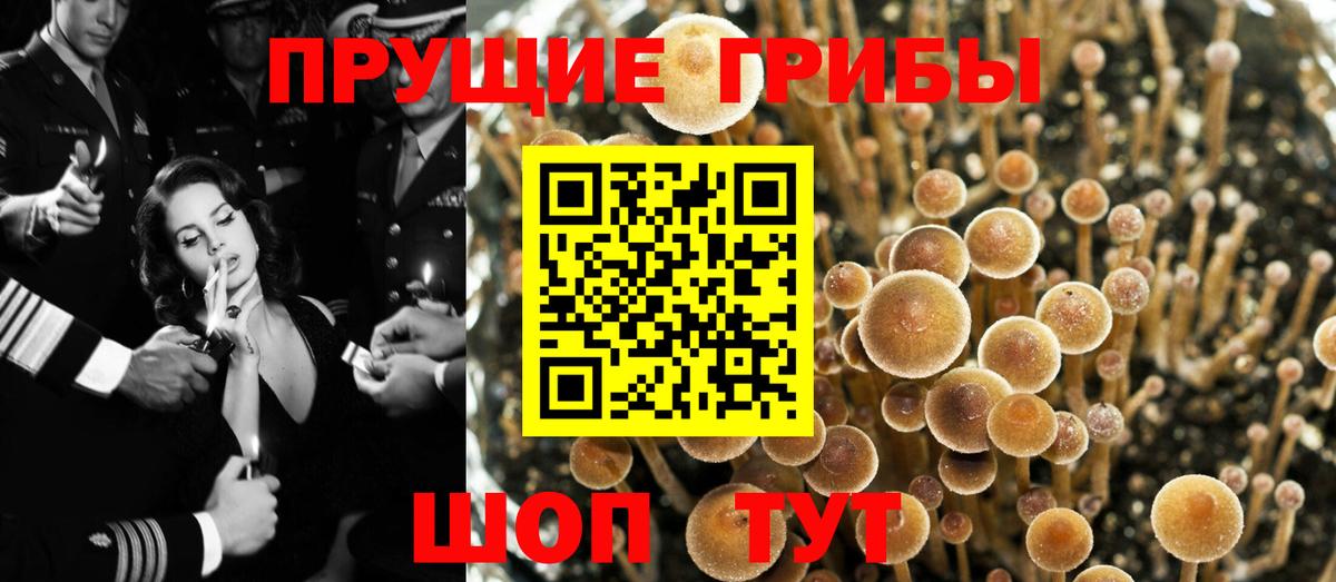 Ликино-Дулёво  Галлюциногенные грибы GOLDEN TEACHER  Псилоцибиновые грибы MAGIC MUSHROOMS  Вход с VPN 